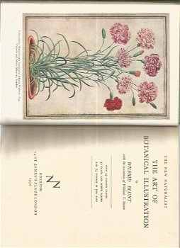 Wilfrid Blunt; The art of botanical illustration - 1