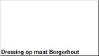 Dressing op maat Borgerhout - 1 - Thumbnail