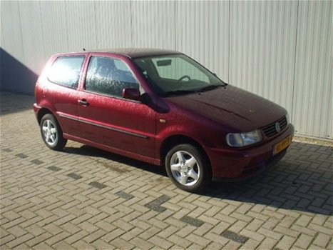 Volkswagen Polo - 1.4 - 1