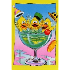 Vogels in glas kaarten bij Stichting Superwens!