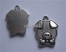 bedeltje/charm dieren : varkenskop plat - 20x15 mm