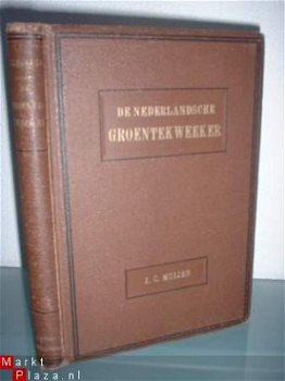 21699 Nederlandsche groentekweeker,de - 1