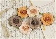 SALE NIEUW 6 Prima Flowers Tea Roses Latte van Prima Marketing - 1 - Thumbnail