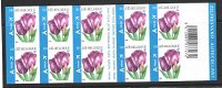 Belgie 2006 PB Tulp Rembrandt bloemen postfris - 1 - Thumbnail