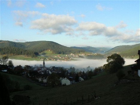 Vakantie Zwarte Woud, pension Talblick b&b, Duitsland - 7