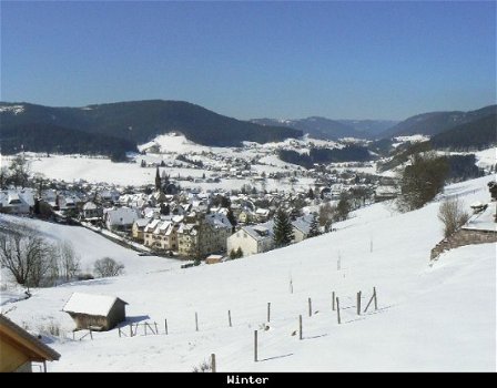 Vakantie Zwarte Woud, pension Talblick b&b, Duitsland - 8