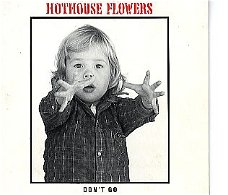 Eurovision Songcontest 1988 EIR: Hothouse Flowers - Don't go (intervalact)