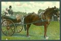 FRIESLAND Sjees en klederdracht (Mantgum & IJlst 1910) - 1 - Thumbnail