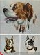 borduurpatroon 4105 drie hondenkoppen - 1 - Thumbnail