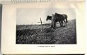 Field Notes From the Russian Front 1915 2V Washburn Rusland - 5 - Thumbnail