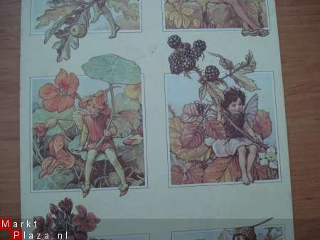 Flower Fairy,s kartonnen paneeltjes retro 61x20 - 1