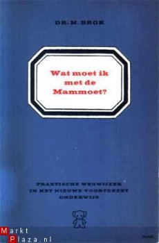 Wat moet ik met de Mammoet? Praktische wegwijzer in het nieu - 1