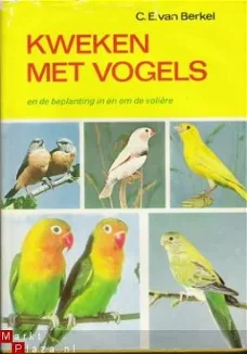 Kweken met vogels