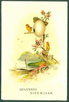 KERST Kuikens in boom met ei (Beetgumermolen 1917)