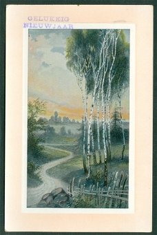 KERST Landschap met berkenbomen, reliëfkaart (Wirdum Fr 1912)