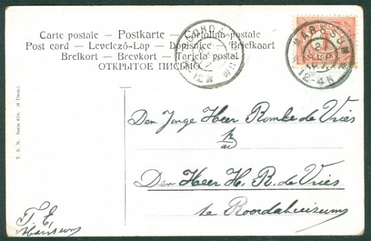 NATUUR Schotse collies (Roordahuizum & Marssum 1907) - 2