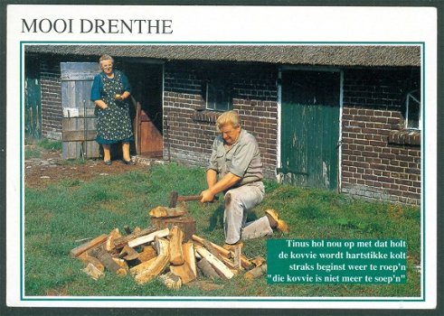 DR DRENTHE Mooi, houthakker (Den Haag 1992) - 1