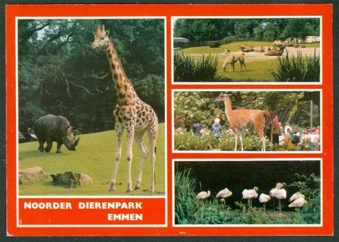 DR EMMEN Noorder dierenpark - 1