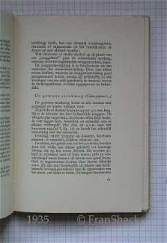 [1935] Insecten in huis, Wibaut-Isebree en Stork, Nijgh & van Ditmar - 4