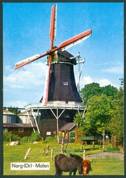 DR NORG Molen - 1