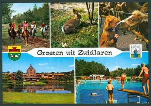 DR ZUIDLAREN Groeten uit, paardenmarkt Noorder Sanatorium - 1