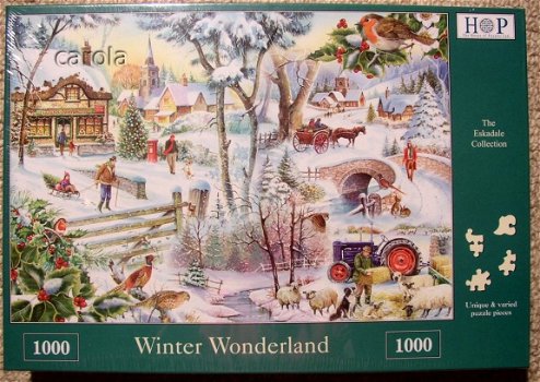 House of Puzzles - Winter Wonderland - 1000 Stukjes Nieuw - 2
