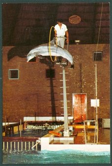 GLD HARDERWIJK Dolfinarium, dolfijn springt door hoepel