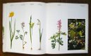 WILDE PLANTEN, flora en vegetatie in onze natuurgebieden (3delen) - 2 - Thumbnail