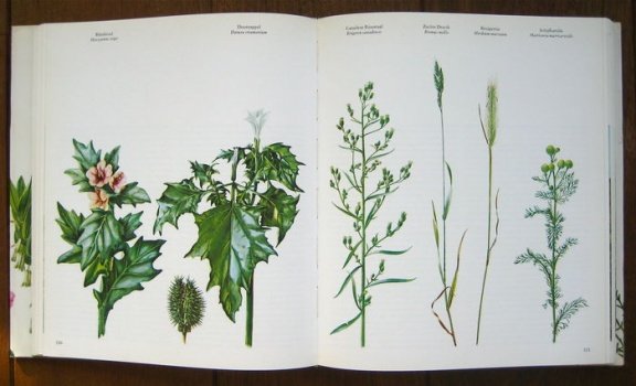 WILDE PLANTEN, flora en vegetatie in onze natuurgebieden (3delen) - 3