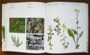 WILDE PLANTEN, flora en vegetatie in onze natuurgebieden (3delen) - 4 - Thumbnail