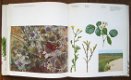 WILDE PLANTEN, flora en vegetatie in onze natuurgebieden (3delen) - 6 - Thumbnail