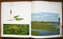 WILDE PLANTEN, flora en vegetatie in onze natuurgebieden (3delen) - 8 - Thumbnail