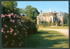 GLD VORDEN De Wiersse, bloeiende rhododendrons