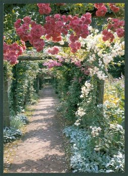 GLD VORDEN De Wiersse, pergola bij de lage tuin - 1