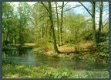 GLD VORDEN De Wiersse, schiereiland langs Baaksche Beek - 1 - Thumbnail