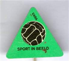 Vara sport in beeld  blik speldje ( BOEK 1 NR_113 )