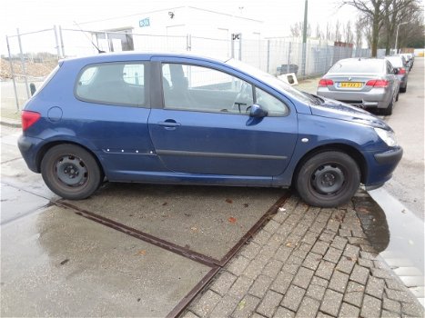 Peugeot 307 1.6 16 v 2002 Plaatwerk kleurcode EGED - 2