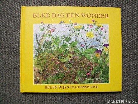 Helen Dijkstra Hesselink - Elke Dag Een Wonder (Hardcover/Gebonden) - 1