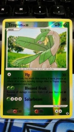 Tropius 52/111 (reverse) Platinum Rising Rivals - nr. 1
