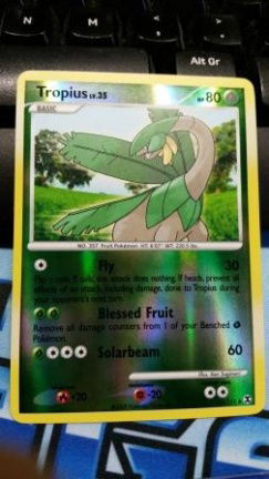 Tropius 52/111 (reverse) Platinum Rising Rivals nearmint - nr. 1