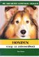 Honden vraag- en antwoordboek door Don Harper - 1 - Thumbnail