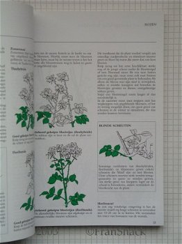 [2003] Stap-voor-Stap-Gids; Snoeien, Brickell, Kosmos- Z&K - 4