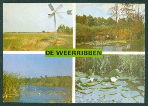 OV KALENBERG-OSSENZIJL De Weerribben (2) - 1