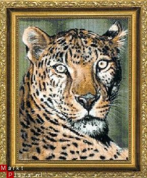 Sheba The Leopard Borduurpatroon - 1