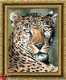 Sheba The Leopard Borduurpatroon - 1 - Thumbnail