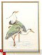 Kraanvogels I Kruissteekpatroon in kleur - 1 - Thumbnail