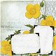 SALE NIEUW vel scrappapier Vintage Collage 10 Flower Cards van DCWV - 1 - Thumbnail
