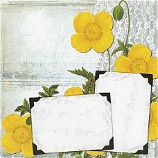 SALE NIEUW vel scrappapier Vintage Collage 10 Flower Cards van DCWV