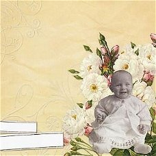 SALE NIEUW vel glitter scrappapier Vintage Collage 24 Happy Baby van DCWV