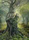 Josephine Wall - Dryad and the Tree Spirit - 1000 Stukjes Nieuw - 1 - Thumbnail
